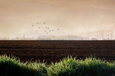 Plowed field at the edge of a village. Agricultural business. Farmland at dawn with focus on border of grass with dewdropsの写真素材