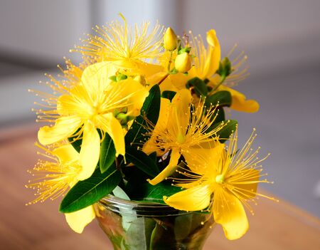 Yellow flowersの写真素材