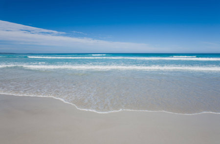 Seashoreの写真素材