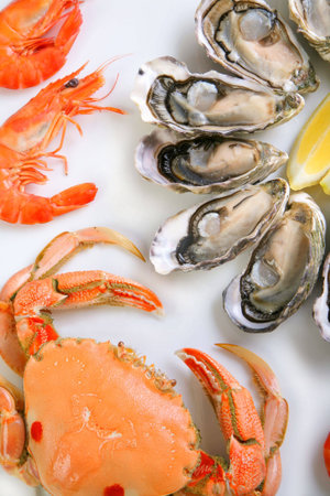 Plate of seafoodの写真素材