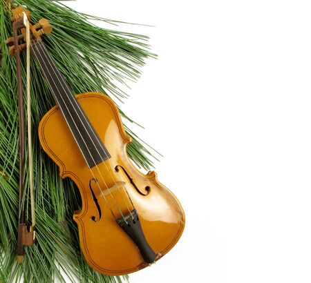 Beautiful miniature violin against a pine bough on white                               の写真素材