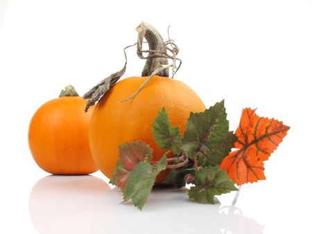 Two miniature pumpkins with leaves on a white reflective background                               の写真素材