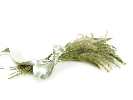 Beautiful fall bouquet of wild foxtail grass on white                               の写真素材