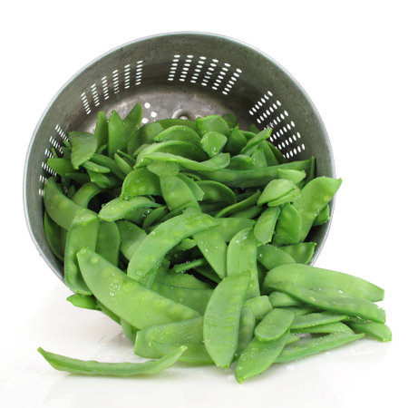 Freshly picked home grown organic snow peas in a colander