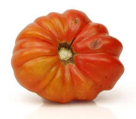 The last tomato of the season, less than perfect, but still deliciousの写真素材
