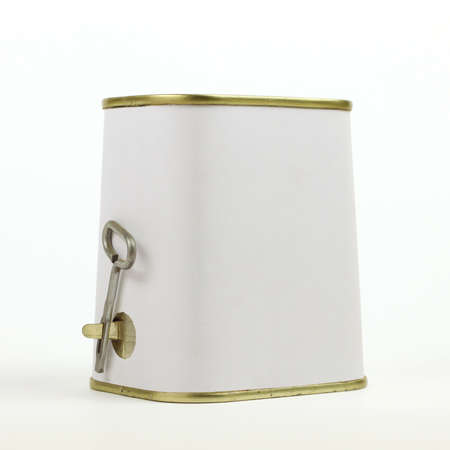 Uniquely shaped can of meat with opener key on whiteの写真素材