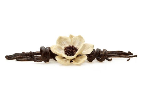 Vanilla bean pods with wood flower made from natural elements on white backgroundの写真素材
