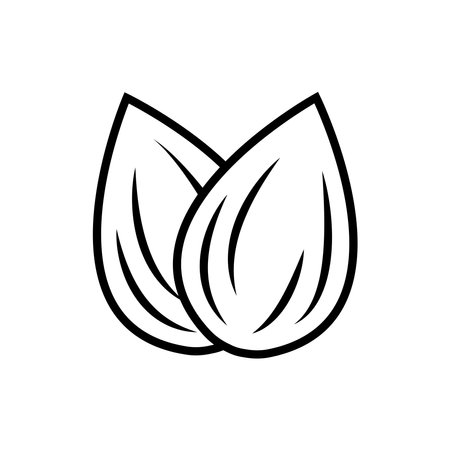 almond nut line icon vectorのイラスト素材