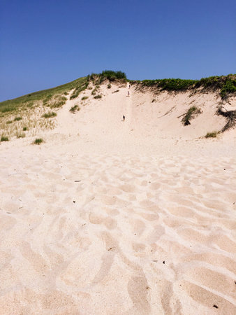Three People Hiking on a Sand Duneの写真素材