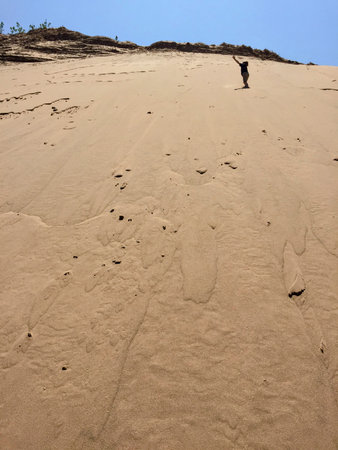 Young Child Hikes up Sand Duneの写真素材