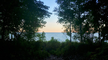 A view of the water through the trees at duskの写真素材