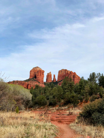 Distant shot of Cathedral Rockの写真素材