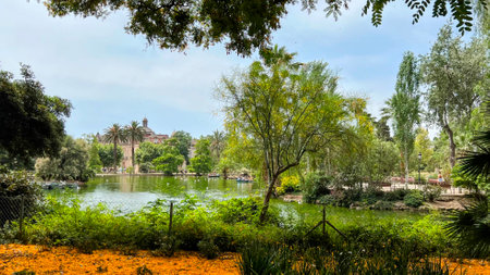 Ciutadella Park Lake with Boats and Treesの写真素材