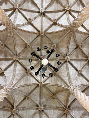 Lonja de la Seda Ceiling with Chandelierの写真素材
