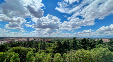 Madrid Skyline Over Green Park Treesの写真素材