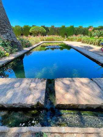 Reflecting Pool in Lush Garden Settingの写真素材