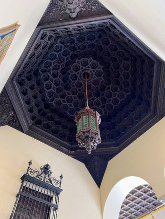 Alcazar Ceiling: Dark Intricate Woodworkの写真素材
