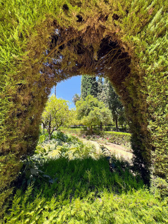 Garden Archway Framing Sunny Greeneryの写真素材