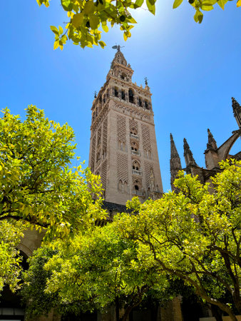 Giralda Tower Rising Above Green Treesの写真素材