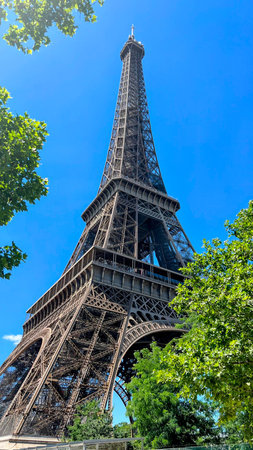 Eiffel Tower Through Green Tree Branches
