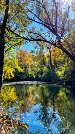 Golden Autumn Trees Reflected in Calm Riverの写真素材