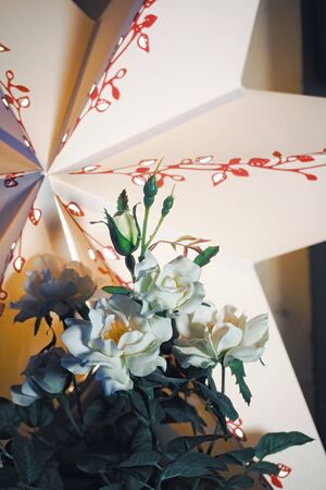 Colored paper star decoration with artificial silk flowers christmas studio backgroundの写真素材