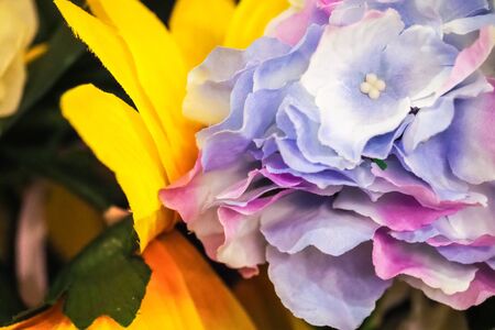 Colorful silk artificial flowers backgroundの写真素材