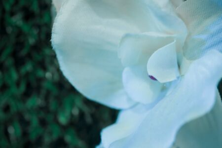 Colorful silk artificial flowers backgroundの写真素材