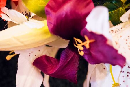 Colorful silk artificial flowers backgroundの写真素材