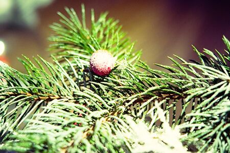 Happy new year artificial bonsai tree christmas composition backgroundの写真素材