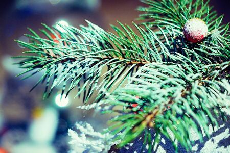 Happy new year artificial bonsai tree christmas composition backgroundの写真素材