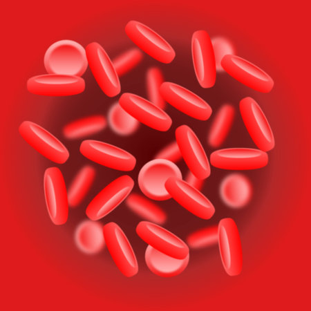 Red blood cells (Erythrocytes) in the aortaの写真素材