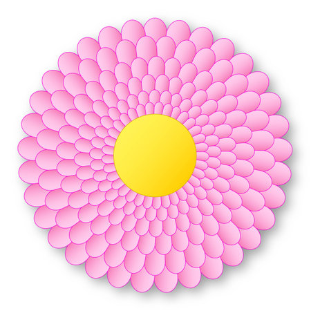 Lovely pink flowerer with yellow center and with shadow on white backgroundの写真素材