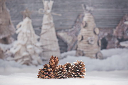 Pine cones in snowの写真素材