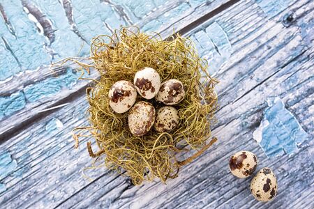 Quail eggs in nestの写真素材