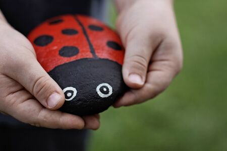 Handmade ladybird made from a painted stoneの写真素材