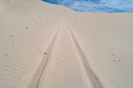 tire tracks left in the sandの写真素材