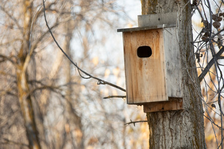 old birdhouse on a treeの写真素材
