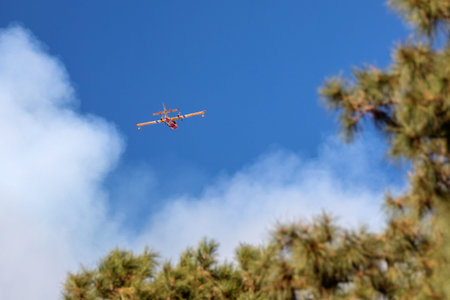 plane flying towards the fire
