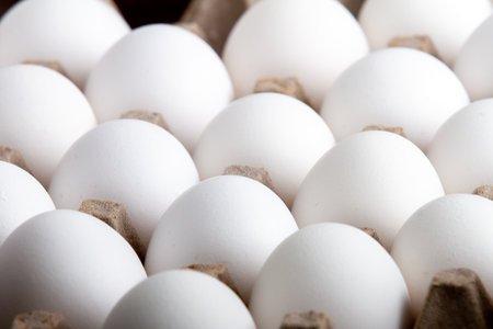 A close up of a dozen white eggs in a cartonの写真素材