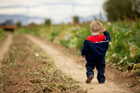 A young boy is walking down a dirt road in a fieldの写真素材