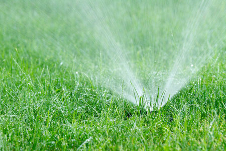 A sprinkler is watering a green fieldの写真素材