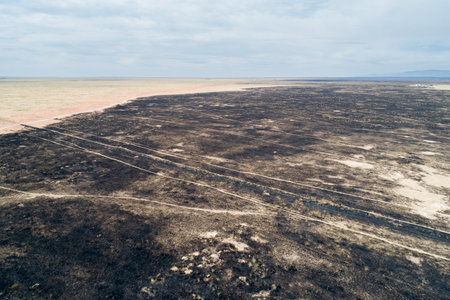 A desolate, barren landscape with a large, blackened area in the middleの写真素材