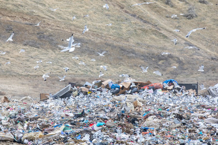 A pile of trash is on the ground with a lot of birds flying around itの写真素材