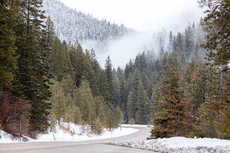 A snowy mountain road with trees in the backgroundの写真素材