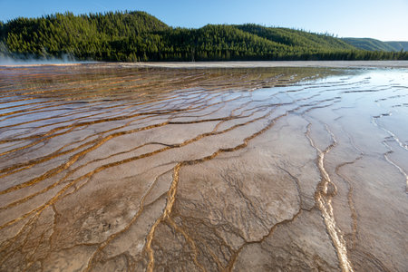 A large body of water with a brownish color and some brownish streaksの写真素材