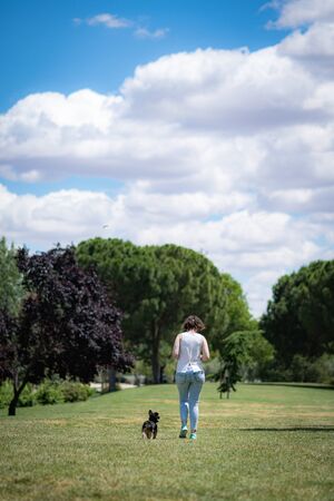 young woman playing affectionately with small dog of the yorkshire breed in garden with grass and trees.の写真素材