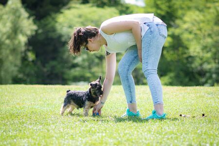 young woman playing affectionately with small dog of the yorkshire breed in garden with grass and trees.の写真素材