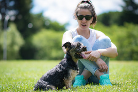 young woman playing affectionately with small dog of the yorkshire breed in garden with grass and...