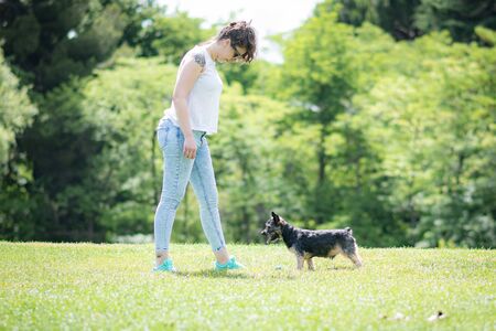 young woman playing affectionately with small dog of the yorkshire breed in garden with grass and trees.の写真素材